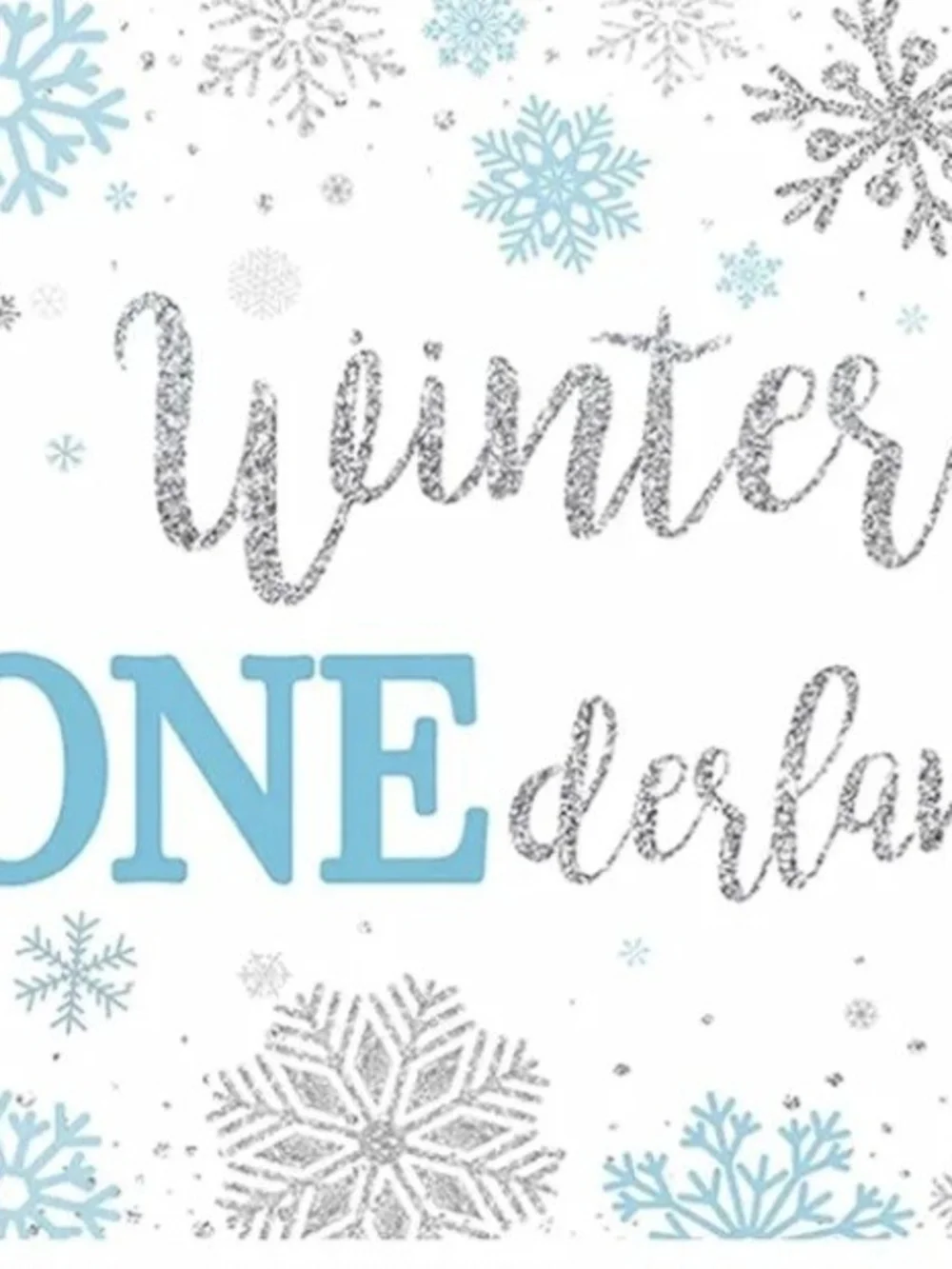 Blue & Silver Winter ONEderland BABY Party Decorations - Home Party Supplies